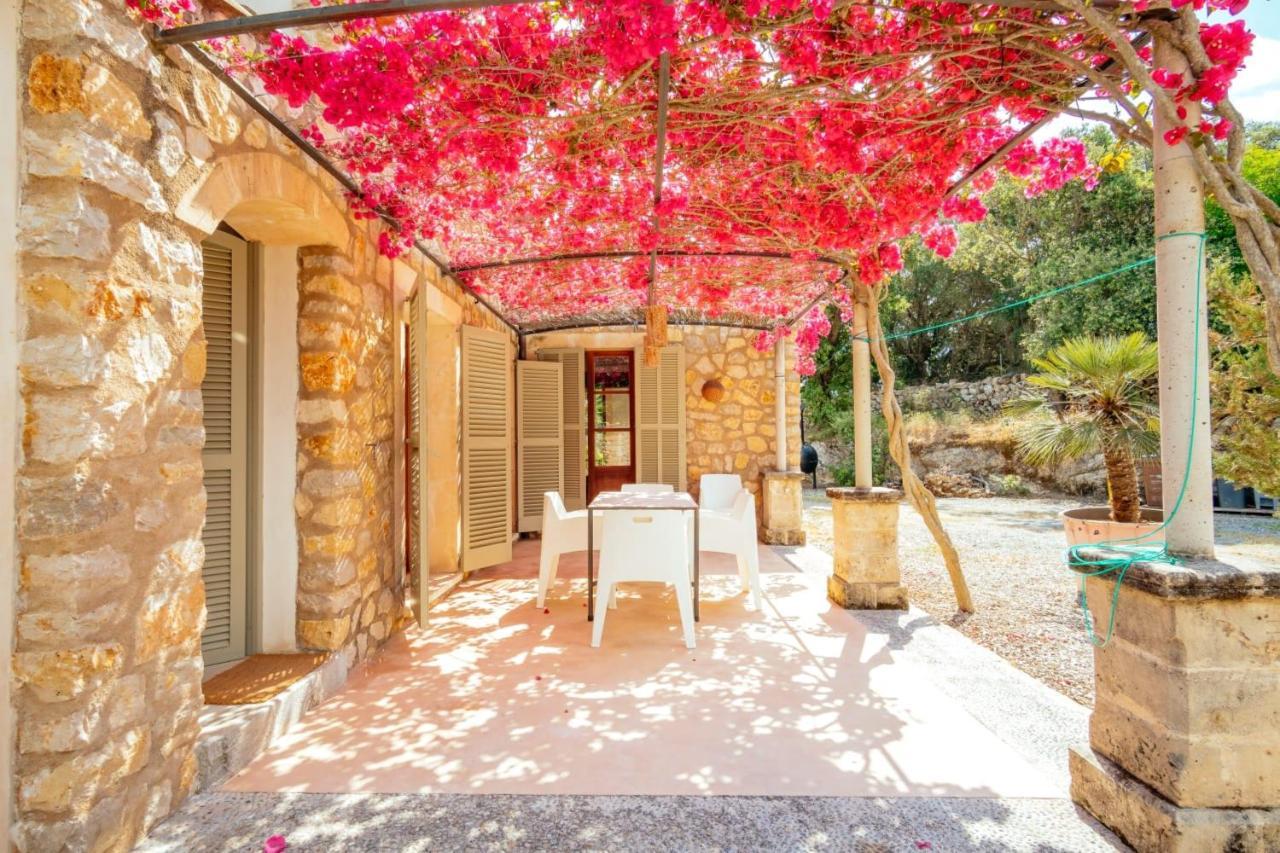 Xisco Villa